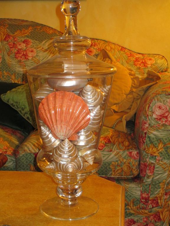 Hotel Villa Maremonti 마리나디마사 외부 사진